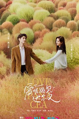 恋爱的正确姿势